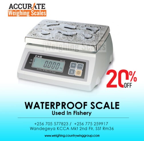 compact Waterproof Scale 30kg capacity digital type