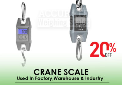 CRANE-SCALE-10-1