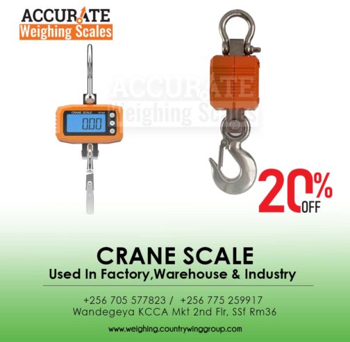 precise Mini Crane Scale Portable LCD display
