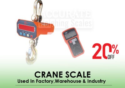 CRANE-SCALE-2-1