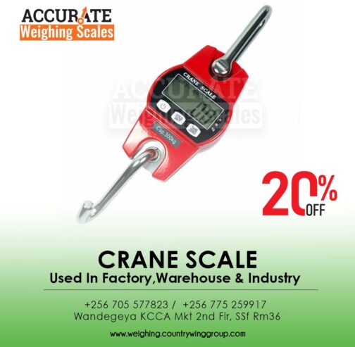 Rhorawill Crane Scale 300kgs Double Accuracy Electronic