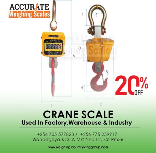 Crane scales powered by Battery or AC Power source