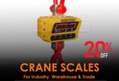 versatile digital mini crane scale ideal for commercial use