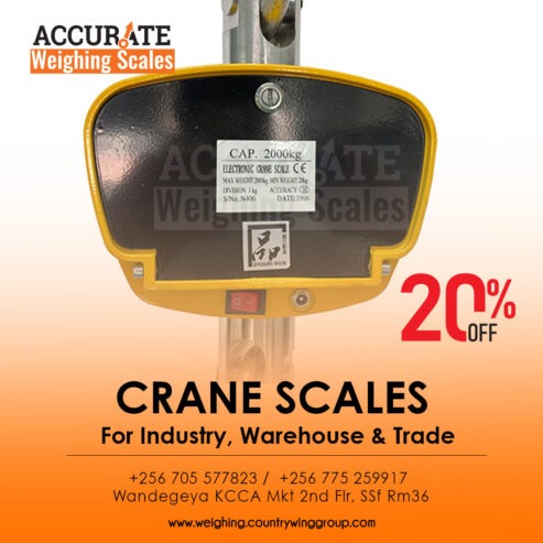 Standard digital crane scales at suppliers shop Wandegey