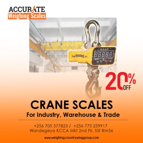 Bright and backlit display crane scales on market