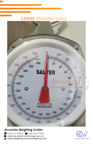 Red-pointer dial salter portable crane scales Wandegeya