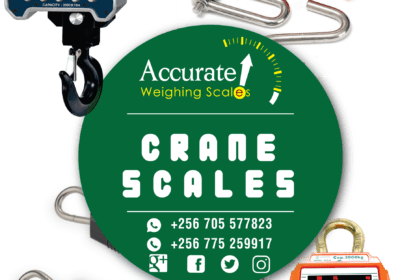 FLYER-CRANE-SCALES-png