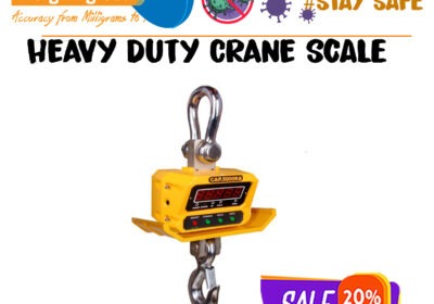 HEAVU-DUTY-CRANE-SCALE-2