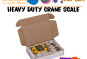 Portable Electronic Mini Crane weighting Scale