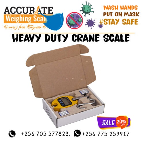 Portable Electronic Mini Crane weighting Scale