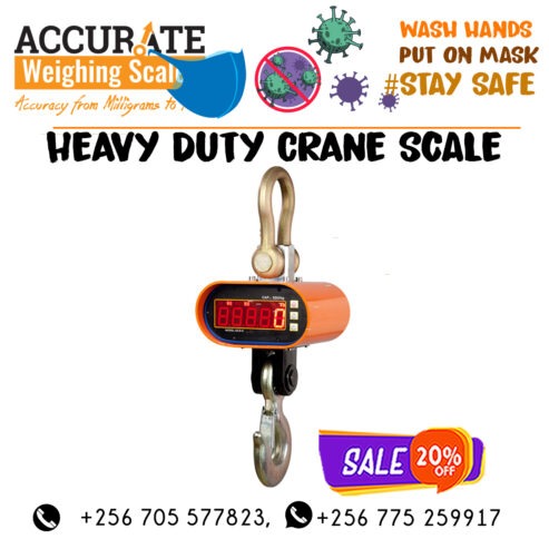 Mini Portable Crane weight Scale 300kg 0.1kg