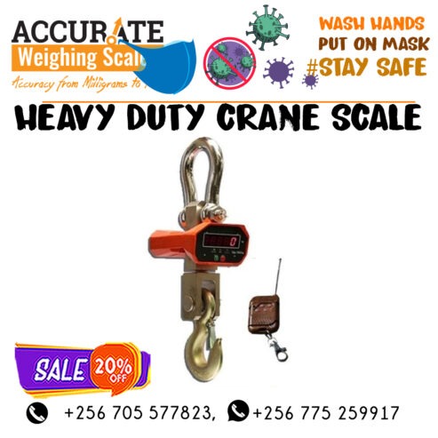 300KG/660LBS Mini Crane weighing Scale Portable LCD