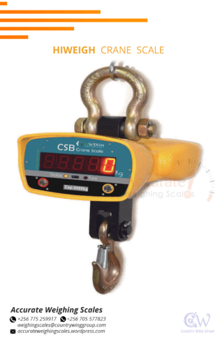 Crane weighing scales with high temperature protecting p