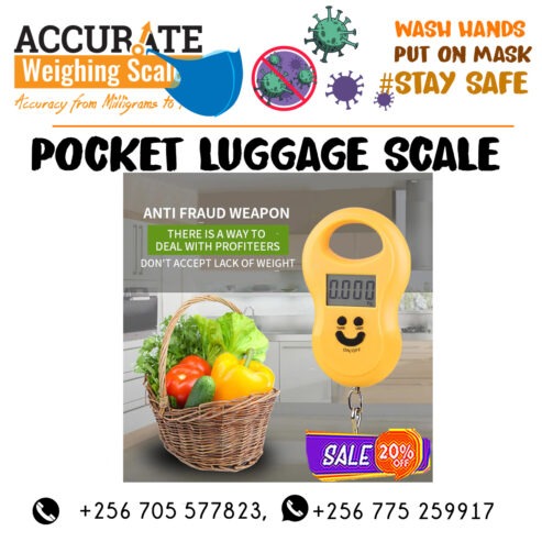 digital portable hooks hanging scales for luggage