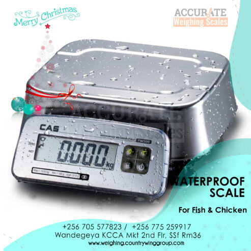 Electronic waterproof weighing scales Kampala – Accurate