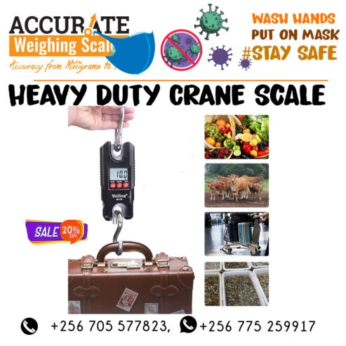 Mini Portable Crane Scale 300kg 0.1kg LCD Digital