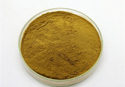 sarpankho-extract-powder-500×500-1-1