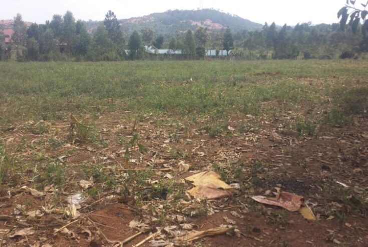 5 ACRES FOR SALE IN MUKONO MBALALA