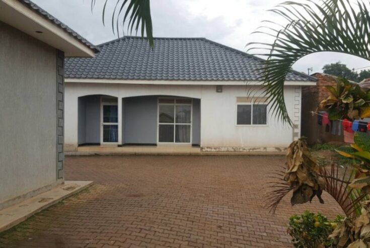 A rental in Bukoto for sale