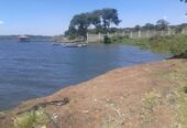 3 acres touching Source of the Nile