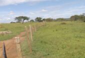 Farm land for sale in Kibega Sanga
