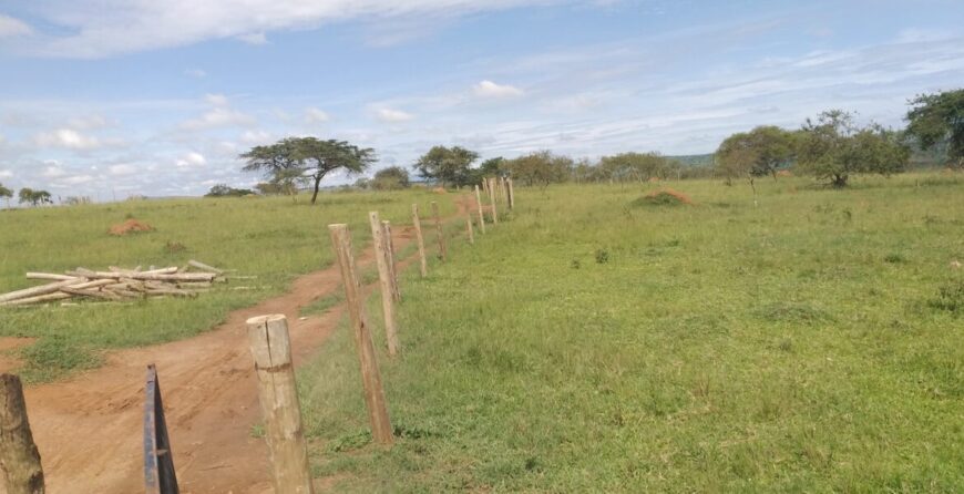 Farm land for sale in Kibega Sanga