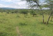Farm land for sale kiruhura, Mbarara, Uganda