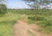Farm land for sale kiruhura, Mbarara, Uganda