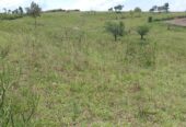 Farm land 40 acres for sell in Kyabandara Kamwenge