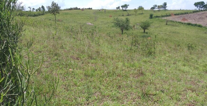 Farm land 40 acres for sell in Kyabandara Kamwenge