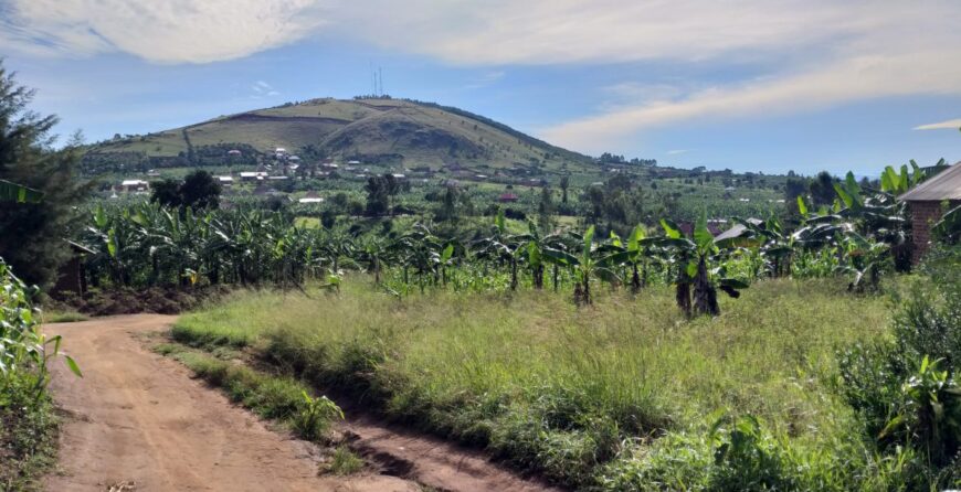 Cheap plots for sell in Katete Mbarara
