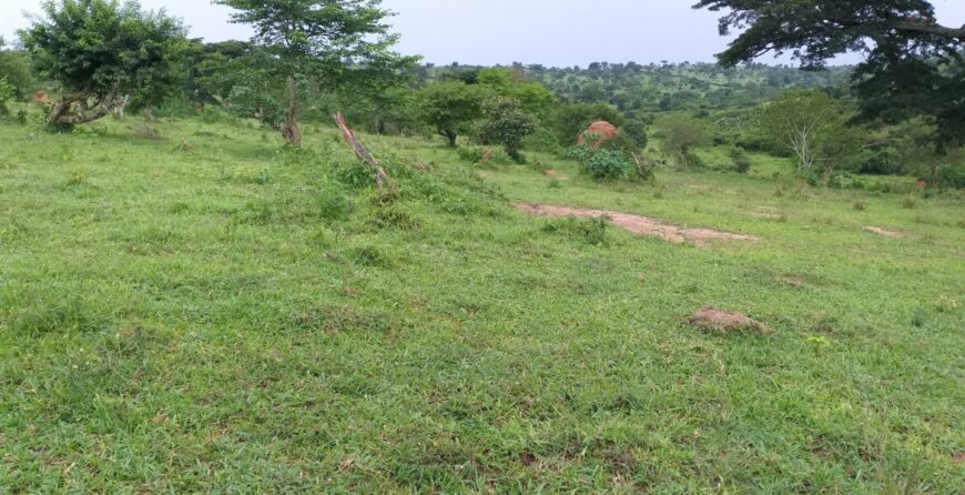 farmland for sale in Omubisya Rwemikoma Kazo