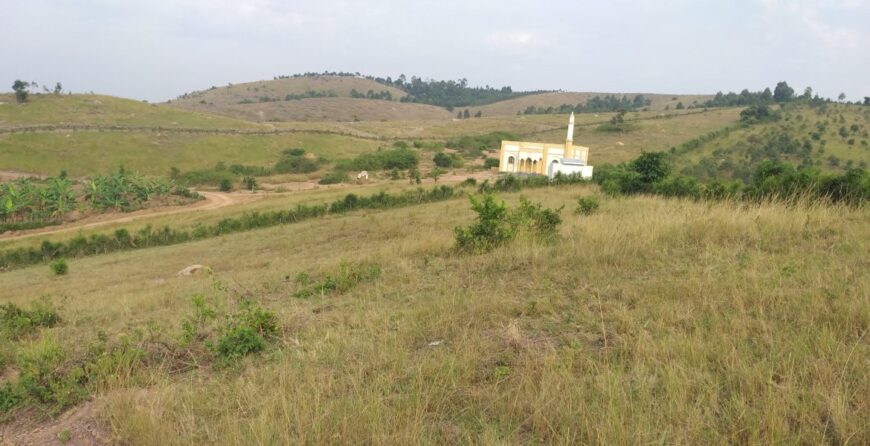 87 plots in a new estate Karubanda Mbarara