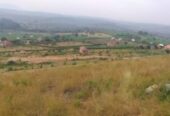 87 plots in a new estate Karubanda Mbarara