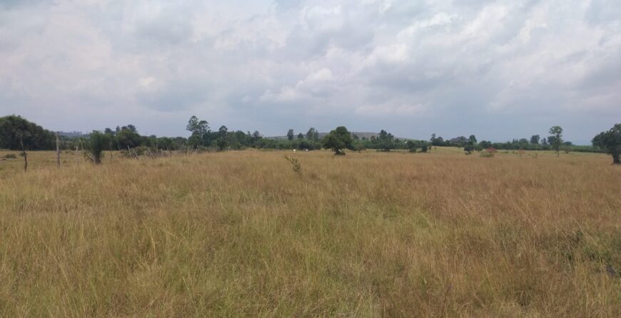 Farmland for sale in Nyakisharara Mbarara Mbarara, Uganda