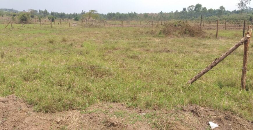 100ft by 100ft Plot for sale Katete Mbarara
