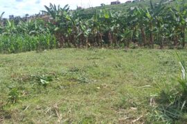 60ft by 58ft Plot for sale in Rubeho Katete Katete