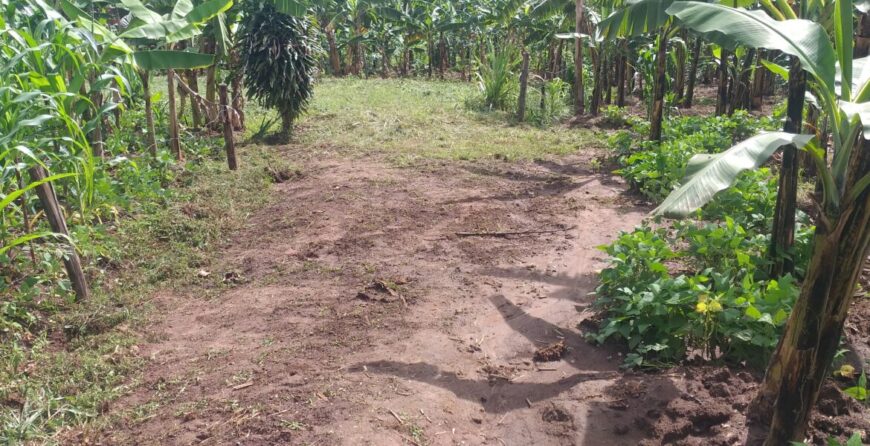 plot for sale in Rubeho Katete