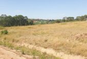 PLOTS FOR SALE WITH LAND TITLES IN RWEBISHURI MBARARA CITY.