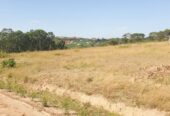 NEW NEW NEW ESTATE. PLOTS FOR SALE WITH LAND TITLES