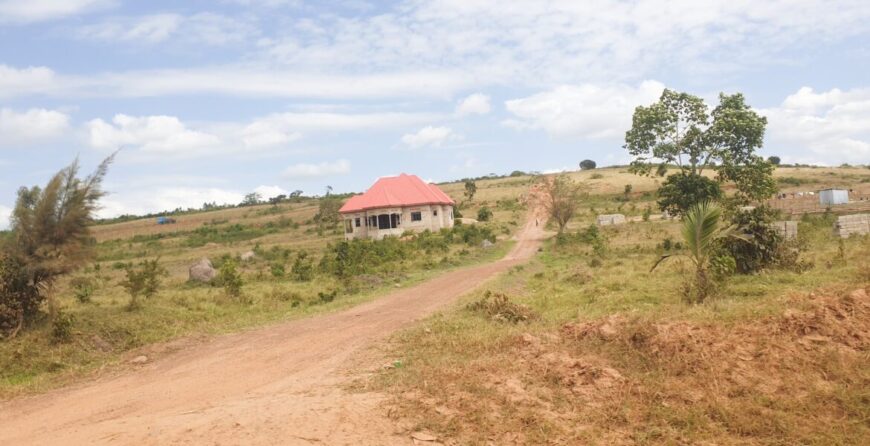 Canan Estate Kyamugorani Kakiika Division Mbarara