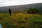 15 acres in Mpigi