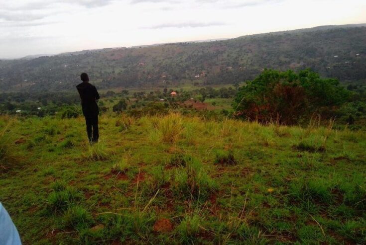 15 acres in Mpigi