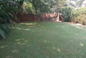 6 Bedroom house for Sale in Muyenga