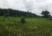 4acres available in Busika approximately 3km off tarmac