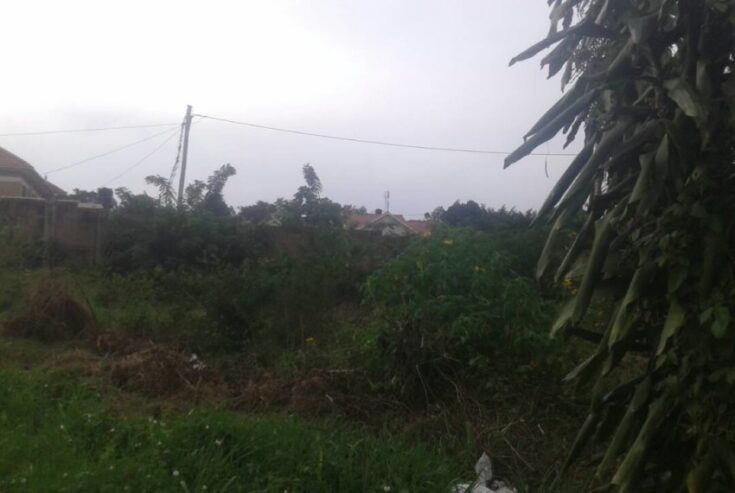 Plot 25 decimals in Kyaliwajala, mbarwa for sale