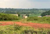 Gayaza nakassajja well developed estate 50*100 plot