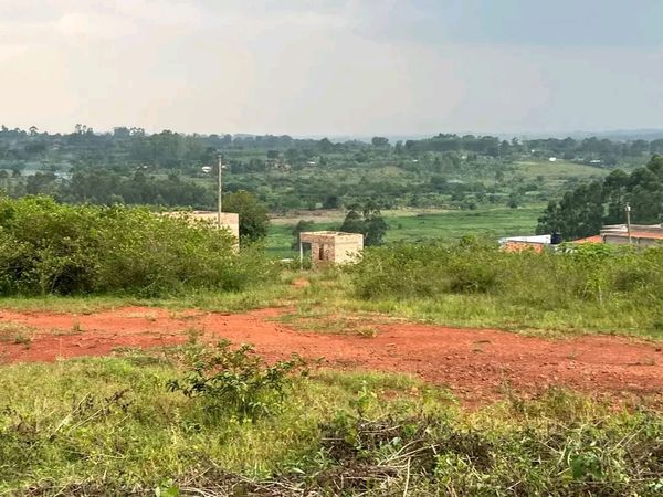 Gayaza nakassajja well developed estate 50*100 plot