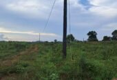 Plot On Sale!! Kyabakadde Gayaza Rd 25M 50x100ft (20 Plots )