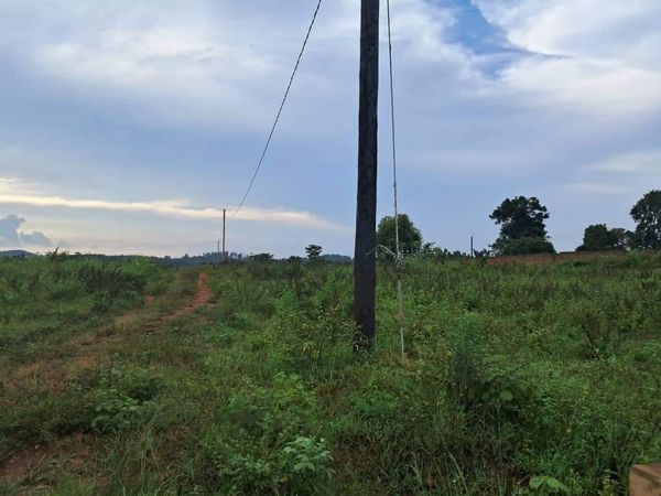 Plot On Sale!! Kyabakadde Gayaza Rd 25M 50x100ft (20 Plots )